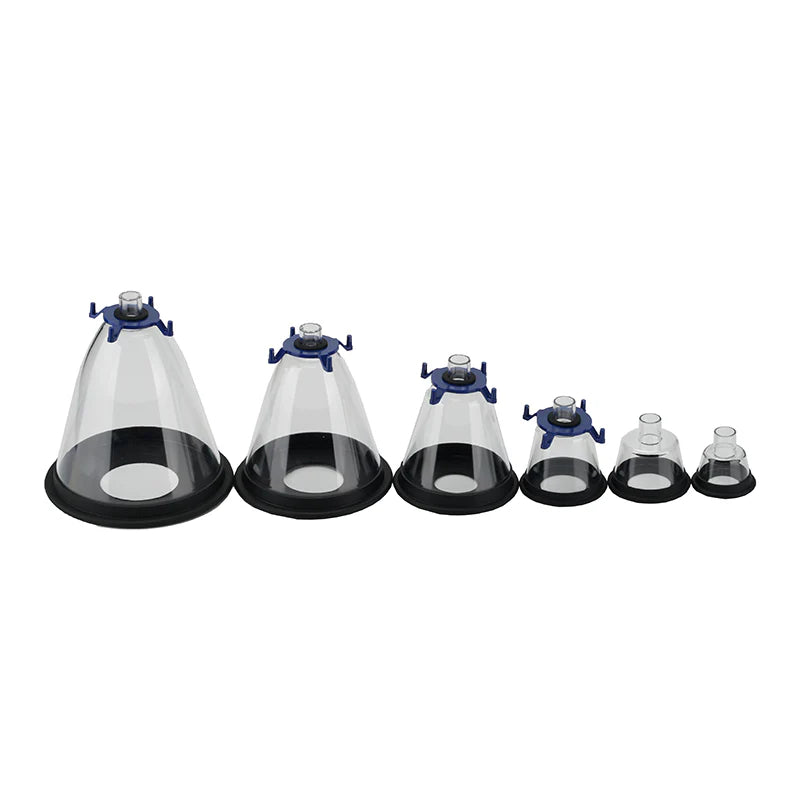 Anesthesia veterinary