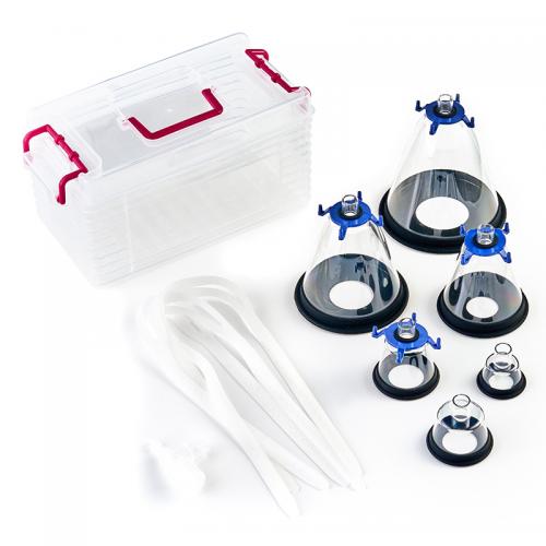 Anesthesia veterinary